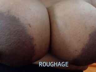 ROUGHAGE