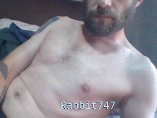 Rabbit747