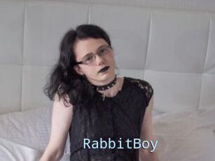 RabbitBoy