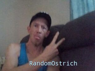RandomOstrich