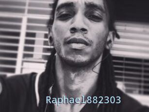 Raphael882303