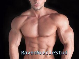 RavenMuscleStud