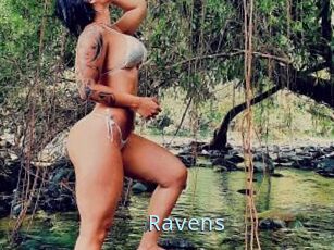 Ravens