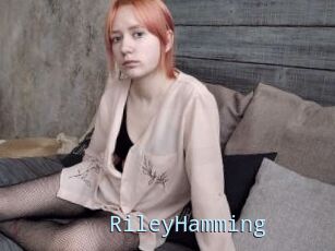 RileyHamming