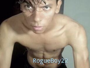 RogueBoy22