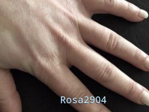 Rosa2904