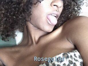 Rosegoldd