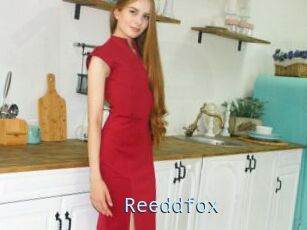 Reeddfox