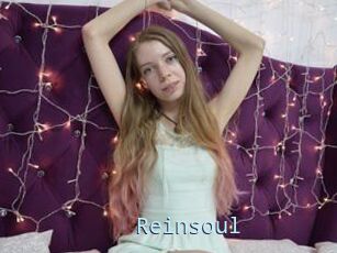 Reinsoul