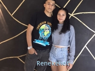 Renekenet