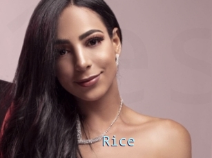 Rice