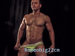 Romeobig22cm