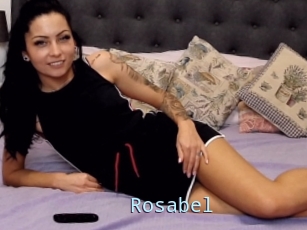 Rosa_bel