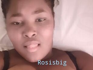 Rosisbig