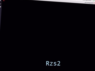 Rzs2