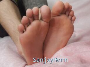 SanjayHorn