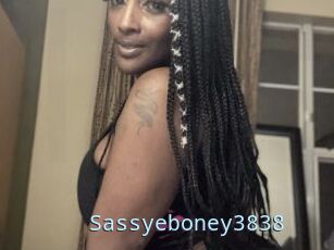 Sassyeboney3838