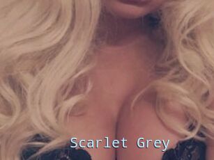 Scarlet_Grey