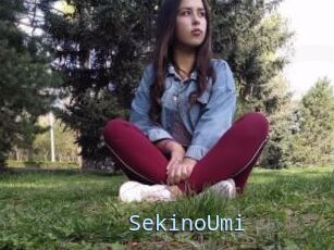 SekinoUmi