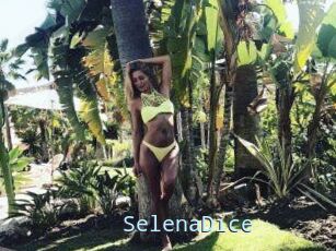 SelenaDice