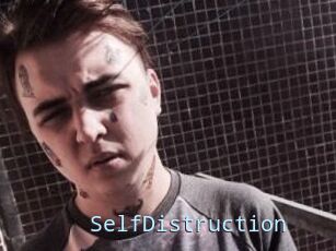 SelfDistruction