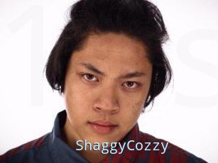 ShaggyCozzy