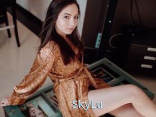 SkyLu