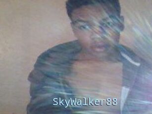 SkyWalker88