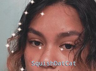 SquishDatCat