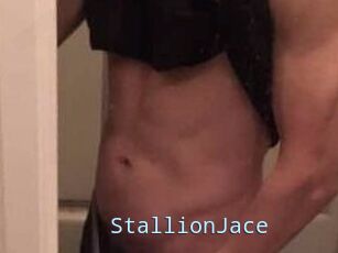 StallionJace