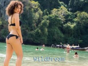 WildDream