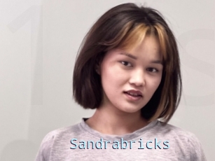 Sandrabricks