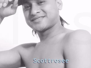Scottrosee