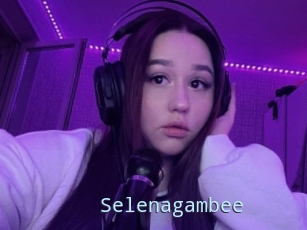 Selenagambee