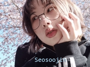 Seosoojin