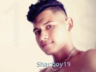 Sharboy19