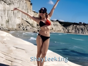 Shayleeking