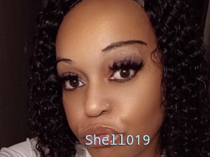 Shell019