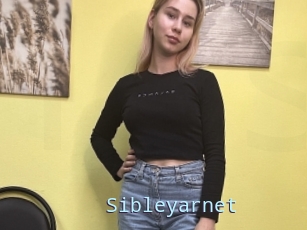 Sibleyarnet