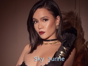 Sky_junne