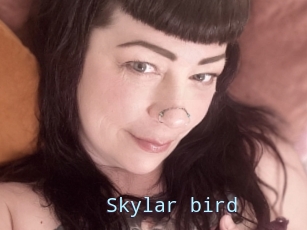Skylar_bird