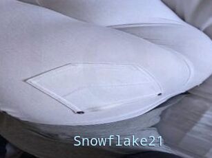 Snowflake21