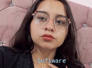 Sofiware