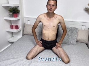 Svendix