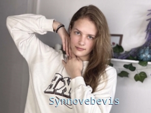 Synnovebevis
