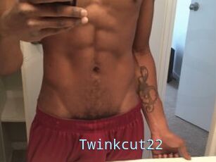 Twinkcut22