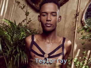 Teylorray