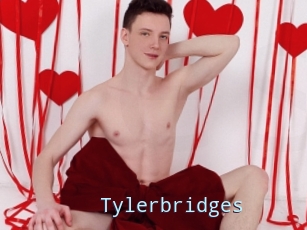 Tylerbridges