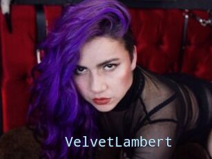 VelvetLambert