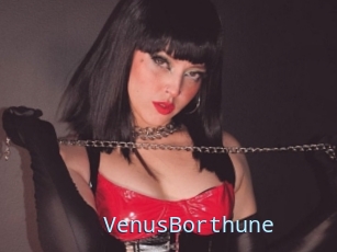 VenusBorthune